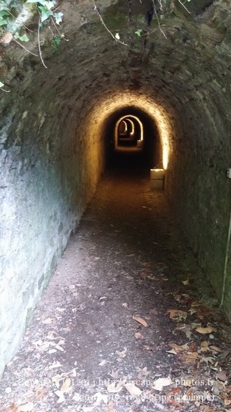 20160917_105838.jpg