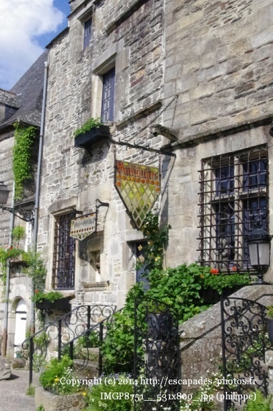 IMGP8751__531x800_.jpg