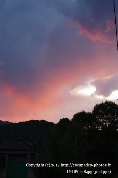 IMGP6418.jpg