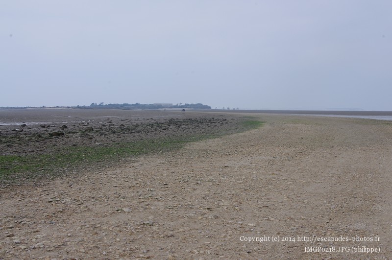 IMGP0218.JPG