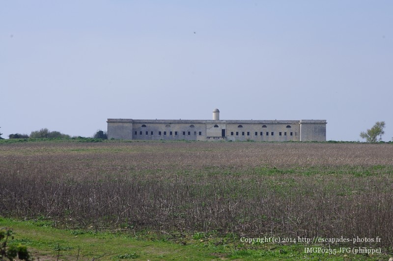 IMGP0235.JPG