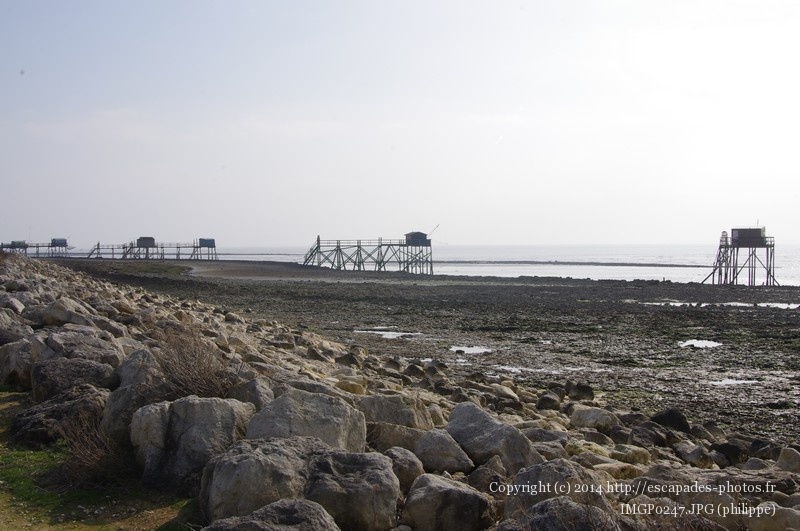 IMGP0247.JPG