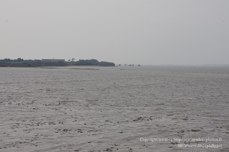 IMGP0277.JPG