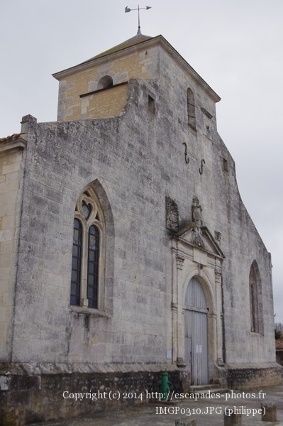 IMGP0310.JPG