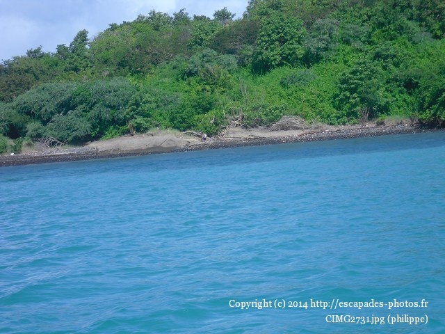 CIMG2731.jpg