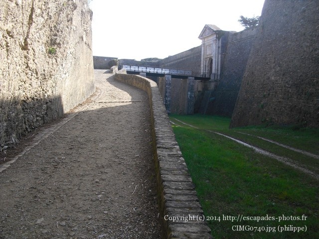 CIMG0740.jpg