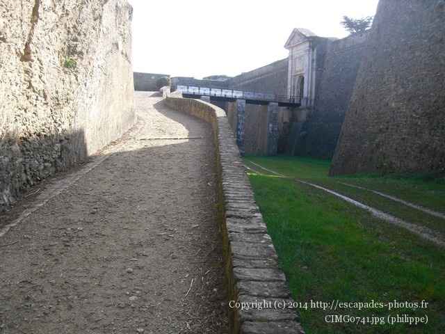 CIMG0741.jpg