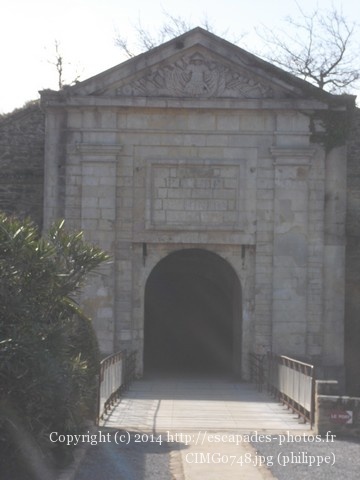 CIMG0748.jpg
