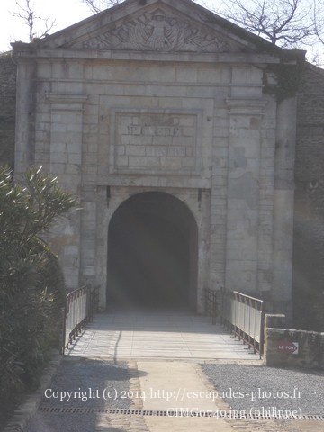 CIMG0749.jpg