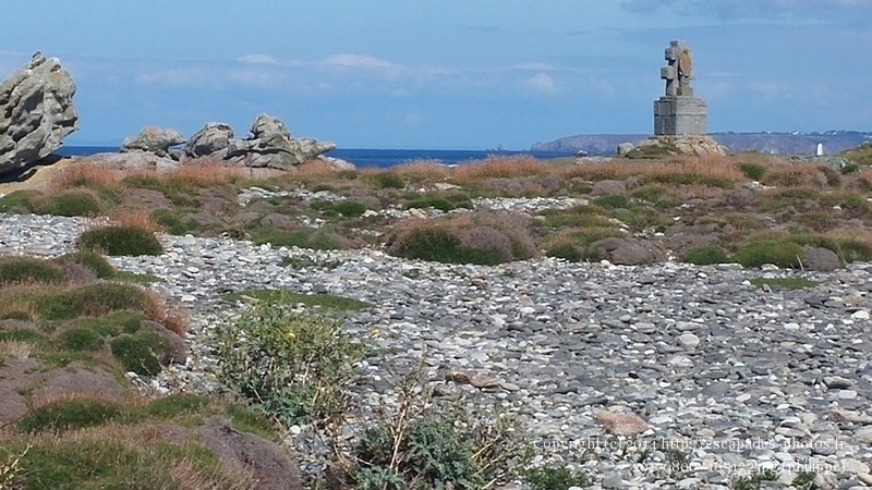 20170806_165132.jpg