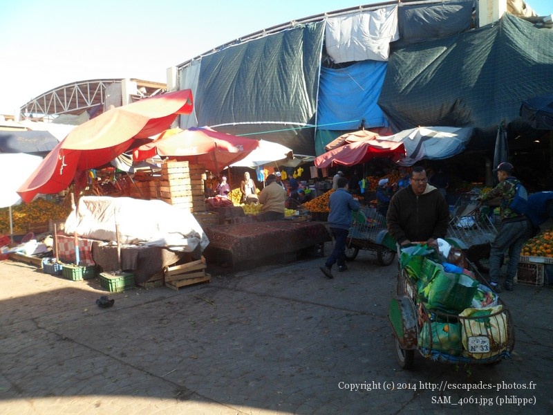 SAM_4061.jpg