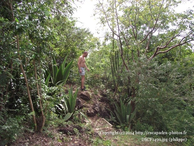 DSCF1490.jpg