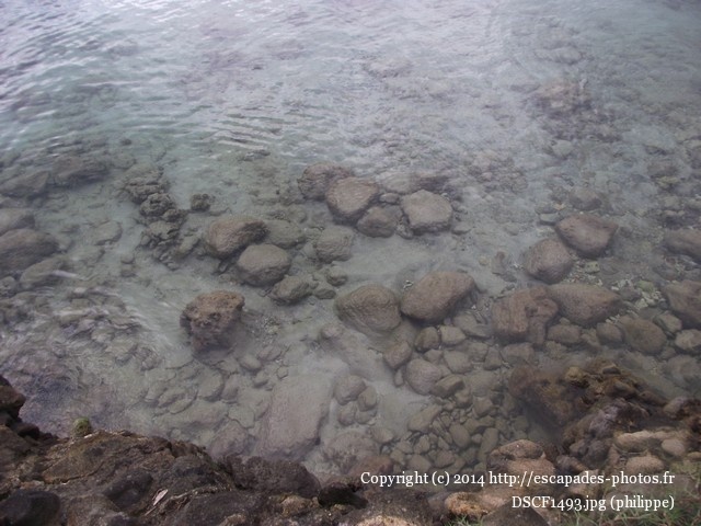 DSCF1493.jpg