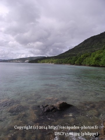 DSCF1500.jpg