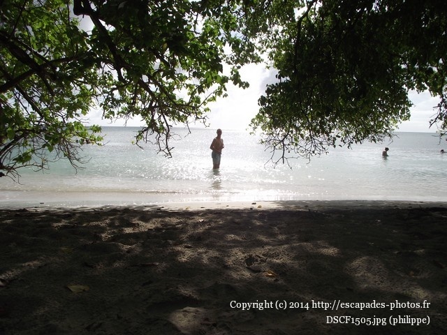 DSCF1505.jpg