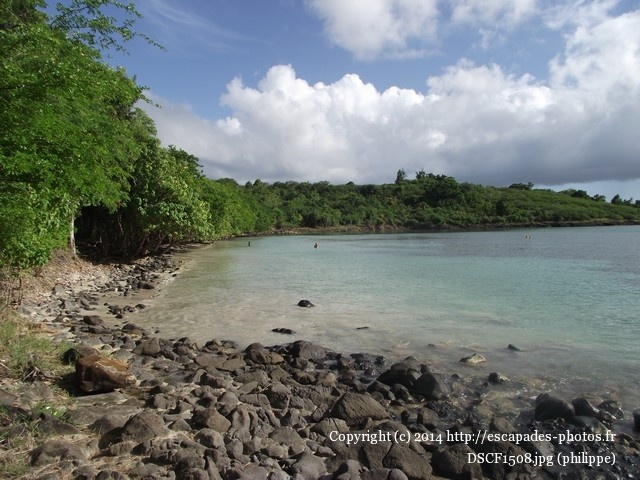DSCF1508.jpg