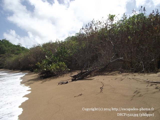 DSCF1522.jpg