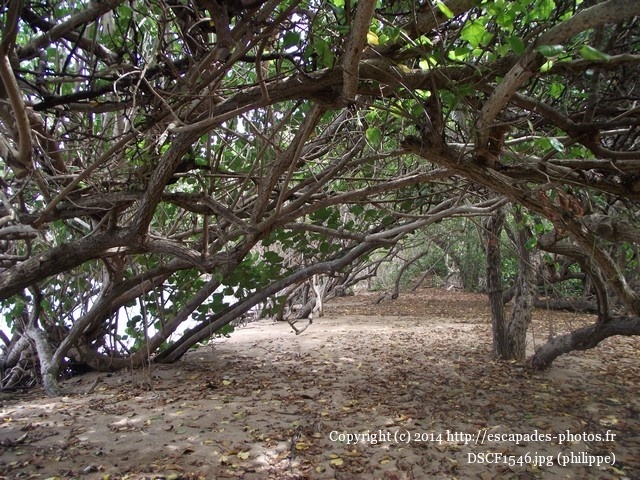 DSCF1546.jpg