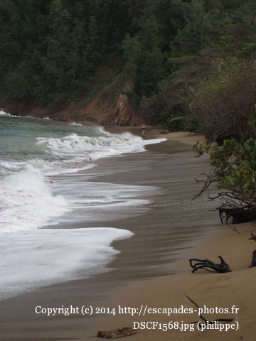 DSCF1568.jpg