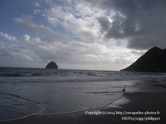 DSCF1572.jpg