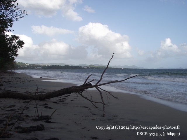 DSCF1573.jpg