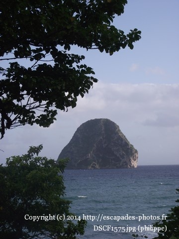 DSCF1575.jpg