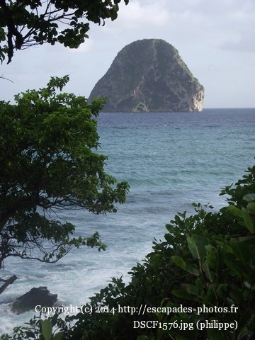DSCF1576.jpg