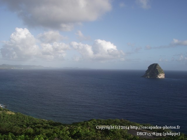DSCF1578.jpg