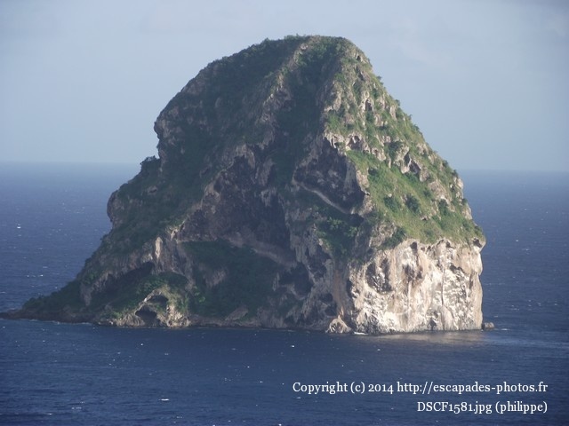 DSCF1581.jpg