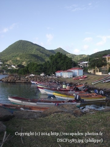 DSCF1583.jpg