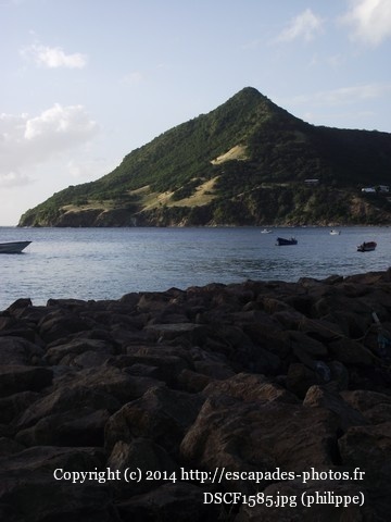 DSCF1585.jpg