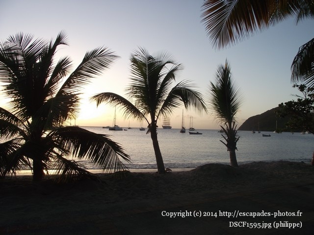DSCF1595.jpg