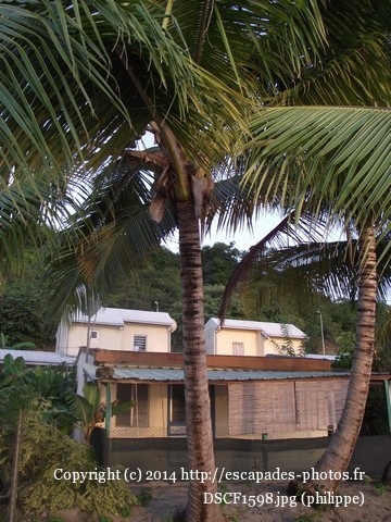 DSCF1598.jpg