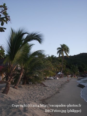 DSCF1600.jpg