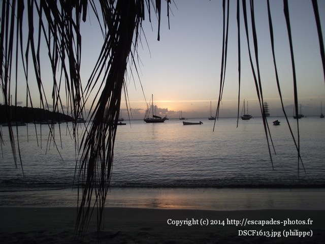 DSCF1613.jpg