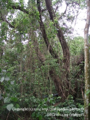 DSCF1614.jpg
