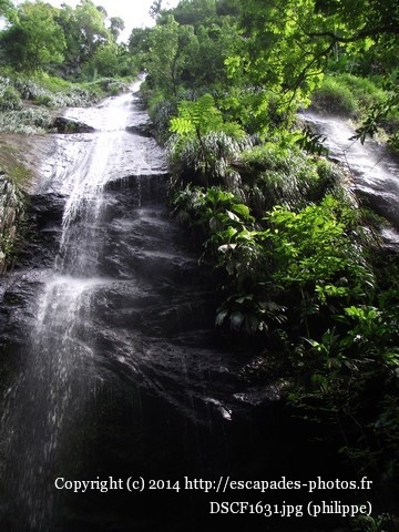 DSCF1631.jpg