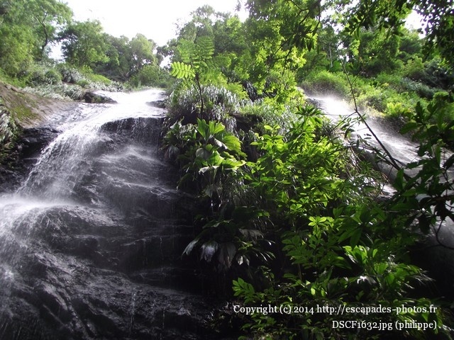 DSCF1632.jpg