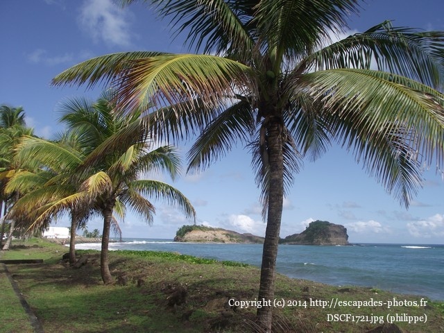 DSCF1721.jpg