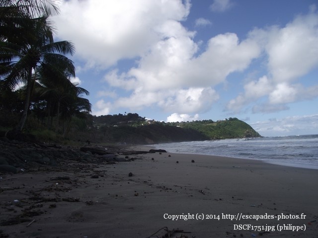 DSCF1751.jpg