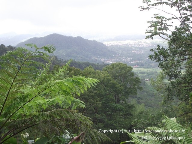 DSCF1759.jpg