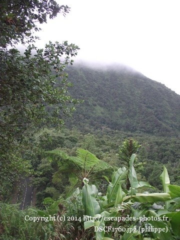 DSCF1760.jpg