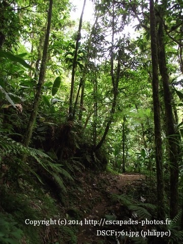 DSCF1761.jpg