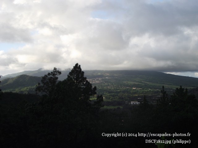 DSCF1812.jpg