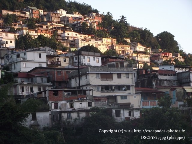 DSCF1817.jpg