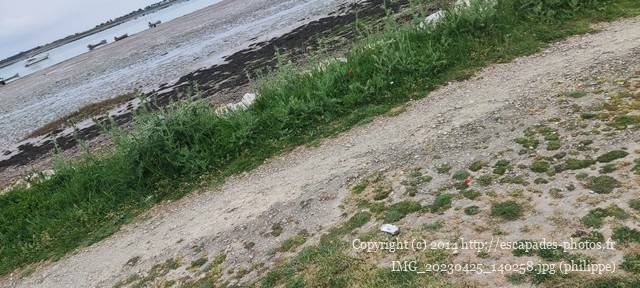 IMG_20230425_140258.jpg