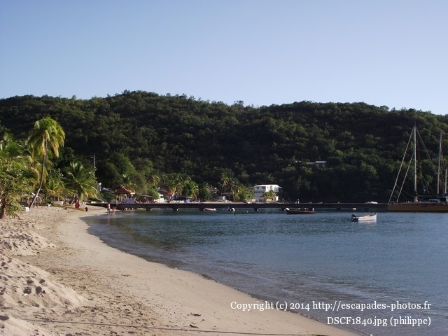 DSCF1840.jpg