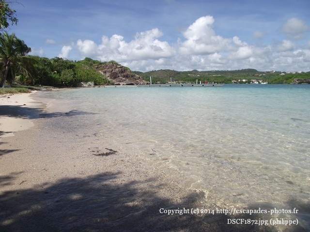 DSCF1872.jpg