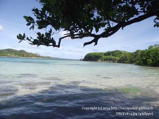 DSCF1874.jpg