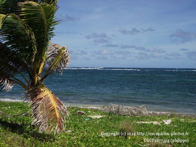 DSCF1877.jpg